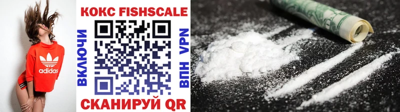 купить  цена  Емва  Cocaine 99% 