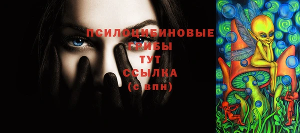 мдпв Медвежьегорск