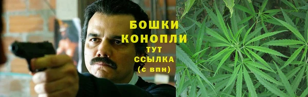 крисы Медногорск