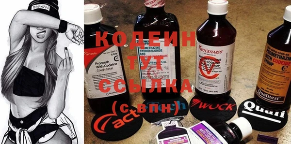 крисы Медногорск