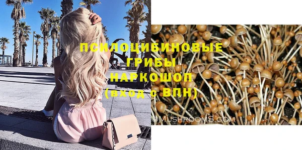 мдпв Медвежьегорск