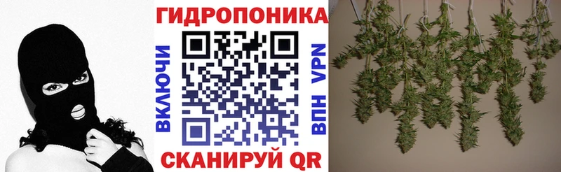 купить наркоту  Емва  Каннабис Bruce Banner 
